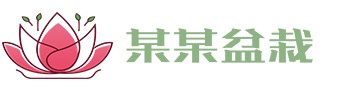 开云官方网页版-开云(中国)